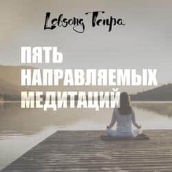 Читать Пять направляемых медитаций