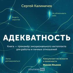 Читать Адекватность. Как видеть суть происходящего, принимать хорошие решения и создавать результат без стресса