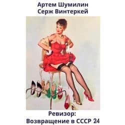 Читать Ревизор: возвращение в СССР 24