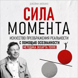 Читать Сила момента