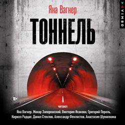 Читать Тоннель