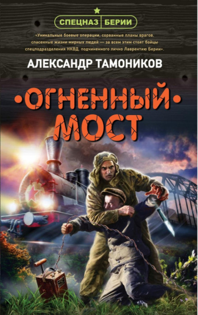 Огненный мост - Александр Тамоников - Слушать Любимую Книгу + Без Рекламы 📲 Slushat-Knigi.Com