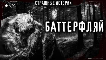 Баттерфляй - Итан Нэлоу - Слушать Любимую Книгу + Без Рекламы 📲 Slushat-Knigi.Com