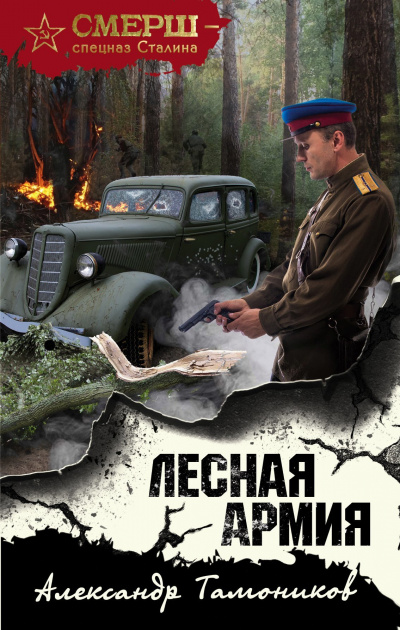 Лесная армия - Александр Тамоников - Слушать Любимую Книгу + Без Рекламы 📲 Slushat-Knigi.Com