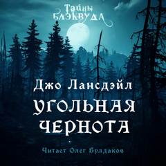 Угольная чернота - Джо Лансдейл - Слушать Любимую Книгу + Без Рекламы 📲 Slushat-Knigi.Com