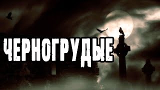 Черногрудые - Лин Яровой - Слушать Любимую Книгу + Без Рекламы 📲 Slushat-Knigi.Com