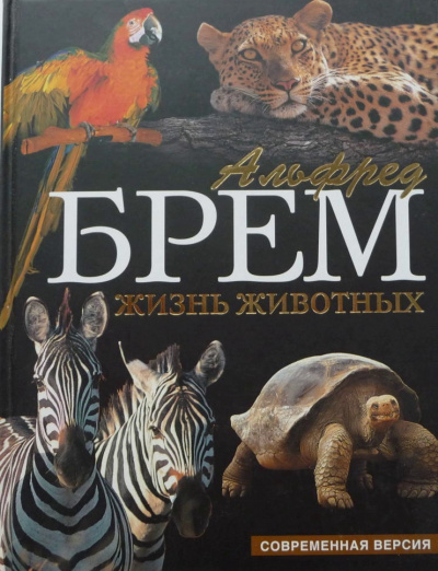 Жизнь животных. Пресмыкающиеся. Обезьяны - Альфред Брэм - Слушать Любимую Книгу + Без Рекламы 📲 Slushat-Knigi.Com