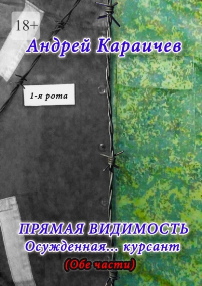 Прямая видимость - Андрей Караичев - Слушать Любимую Книгу + Без Рекламы 📲 Slushat-Knigi.Com