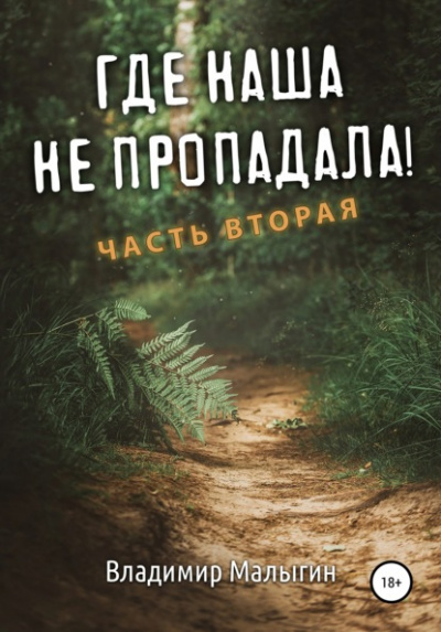 Где наша не пропадала! Часть 2 - Владимир Малыгин - Слушать Любимую Книгу + Без Рекламы 📲 Slushat-Knigi.Com