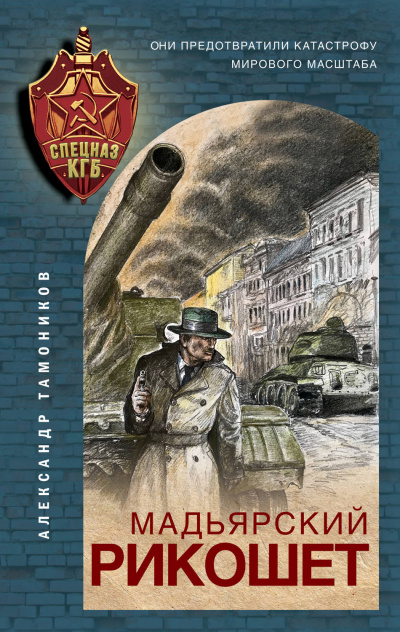 Мадьярский рикошет - Александр Тамоников - Слушать Любимую Книгу + Без Рекламы 📲 Slushat-Knigi.Com