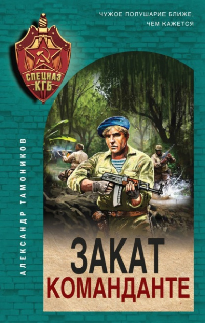 Закат команданте - Александр Тамоников - Слушать Любимую Книгу + Без Рекламы 📲 Slushat-Knigi.Com