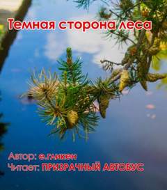 Темная сторона леса - Екатерина Гликен - Слушать Любимую Книгу + Без Рекламы 📲 Slushat-Knigi.Com