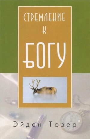 Стремление к Богу - Эйден Тозер - Слушать Любимую Книгу + Без Рекламы 📲 Slushat-Knigi.Com