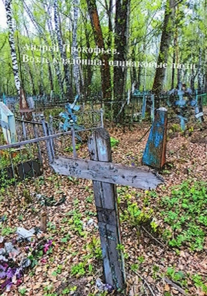 Возле кладбища: одинаковые люди - Андрей Прокофьев - Слушать Любимую Книгу + Без Рекламы 📲 Slushat-Knigi.Com