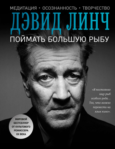 Поймать большую рыбу. Медитация, осознанность, творчество - Дэвид Линч - Слушать Любимую Книгу + Без Рекламы 📲 Slushat-Knigi.Com