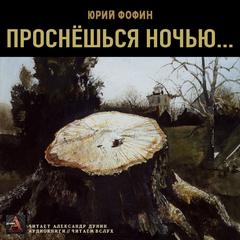 Проснешься ночью - Юрий Фофин - Слушать Любимую Книгу + Без Рекламы 📲 Slushat-Knigi.Com