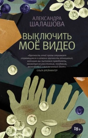 Выключить моё видео - Александра Шалашова - Слушать Любимую Книгу + Без Рекламы 📲 Slushat-Knigi.Com