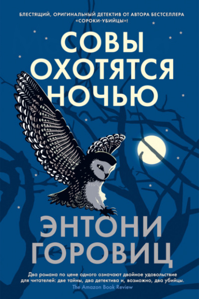 Совы охотятся ночью - Энтони Горовиц - Слушать Любимую Книгу + Без Рекламы 📲 Slushat-Knigi.Com
