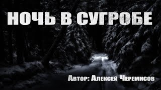 Ночь в сугробе - Алексей Черемисов - Слушать Любимую Книгу + Без Рекламы 📲 Slushat-Knigi.Com