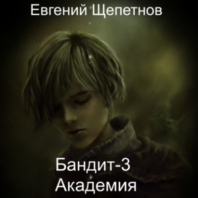 Академия - Евгений Щепетнов - Слушать Любимую Книгу + Без Рекламы 📲 Slushat-Knigi.Com