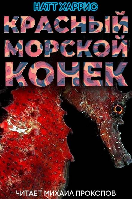 Красный морской конёк - Данимира То - Слушать Любимую Книгу + Без Рекламы 📲 Slushat-Knigi.Com