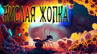 Кислая жопка - Евгений Шиков - Слушать Любимую Книгу + Без Рекламы 📲 Slushat-Knigi.Com
