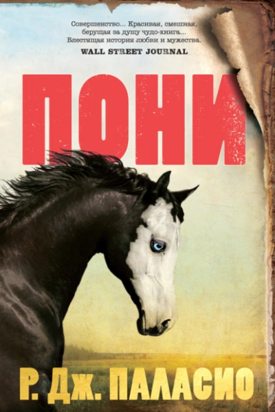 Пони - Ракель Паласио - Слушать Любимую Книгу + Без Рекламы 📲 Slushat-Knigi.Com