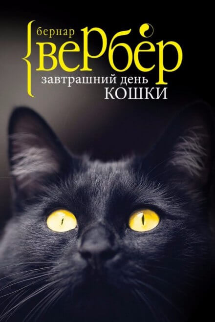 Завтрашний день кошки - Бернард Вербер - Слушать Любимую Книгу + Без Рекламы 📲 Slushat-Knigi.Com