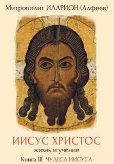 Чудеса Иисуса - Иларион Алфеев - Слушать Любимую Книгу + Без Рекламы 📲 Slushat-Knigi.Com