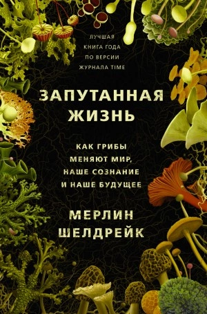 Запутанная жизнь. Как грибы меняют мир, наше сознание и наше будущее - Мерлин Шелдрейк - Слушать Любимую Книгу + Без Рекламы 📲 Slushat-Knigi.Com