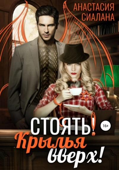 Стоять! Крылья вверх! - Анастасия Сиалана - Слушать Любимую Книгу + Без Рекламы 📲 Slushat-Knigi.Com