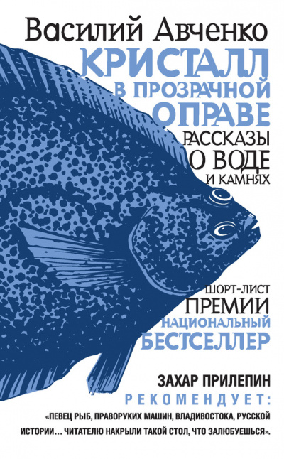 Кристалл в прозрачной оправе - Василий Авченко - Слушать Любимую Книгу + Без Рекламы 📲 Slushat-Knigi.Com