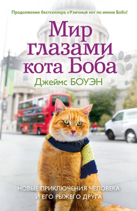 Мир глазами кота Боба - Джеймс Боуэн - Слушать Любимую Книгу + Без Рекламы 📲 Slushat-Knigi.Com