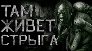 Там живет Стрыга - SMS - Слушать Любимую Книгу + Без Рекламы 📲 Slushat-Knigi.Com