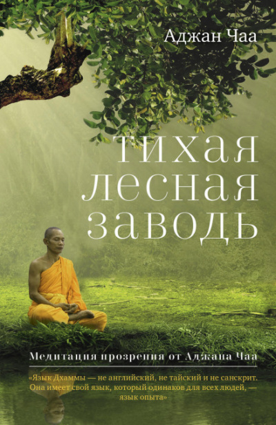 Тихая лесная заводь. Медитация прозрения от Аджана Чаа - Аджан Чаа - Слушать Любимую Книгу + Без Рекламы 📲 Slushat-Knigi.Com