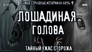 Ужас сторожа. Лошодиная голова - Sallivan - Слушать Любимую Книгу + Без Рекламы 📲 Slushat-Knigi.Com