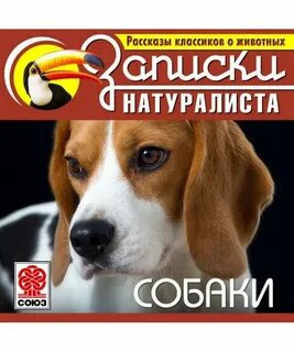Рассказы классиков о животных. Собаки - Слушать Любимую Книгу + Без Рекламы 📲 Slushat-Knigi.Com