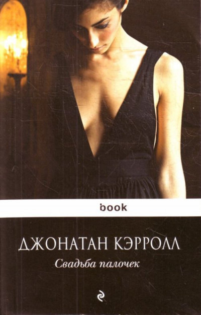 Свадьба палочек - Джонатан Кэрролл - Слушать Любимую Книгу + Без Рекламы 📲 Slushat-Knigi.Com