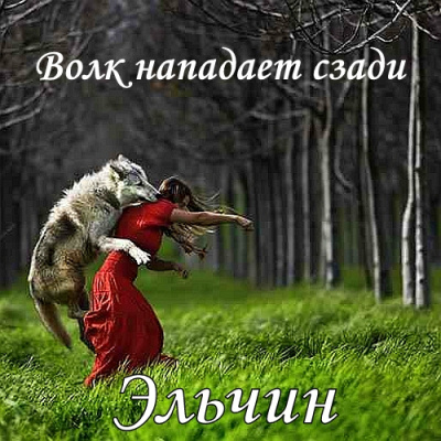 Волк нападает сзади - Эльчин - Слушать Любимую Книгу + Без Рекламы 📲 Slushat-Knigi.Com