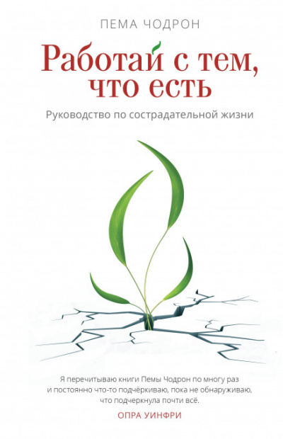 Работай с тем, что есть. Руководство по сострадательной жизни - Пема Чодрон - Слушать Любимую Книгу + Без Рекламы 📲 Slushat-Knigi.Com