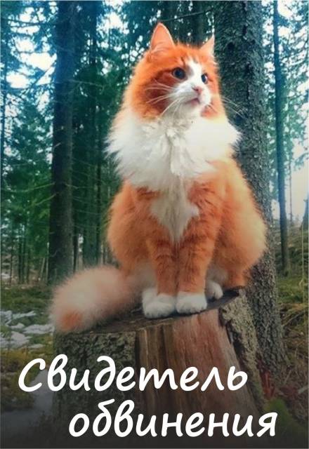 Свидетель обвинения - Алена Волгина - Слушать Любимую Книгу + Без Рекламы 📲 Slushat-Knigi.Com