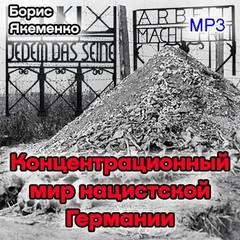 Курс лекций "Концентрационный мир нацистской Германии" - Борис Якеменко - Слушать Любимую Книгу + Без Рекламы 📲 Slushat-Knigi.Com
