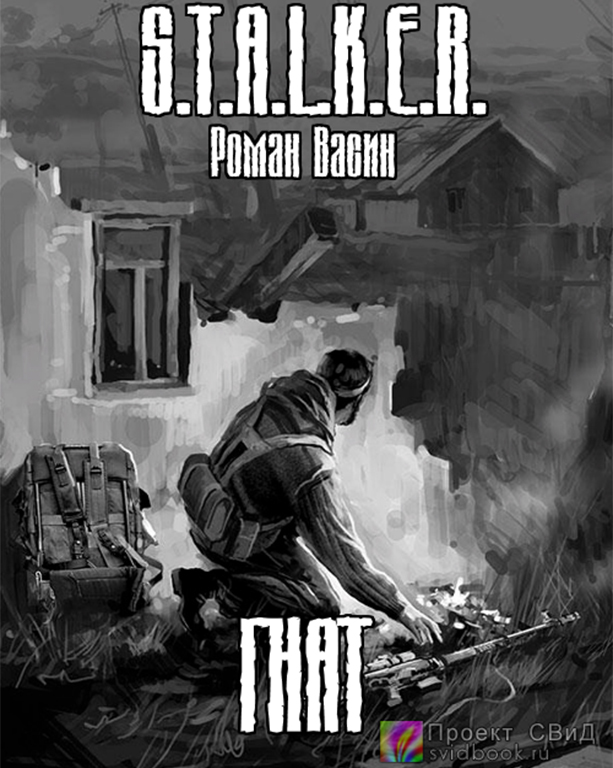 Гнат ( S.T.A.L.K.E.R.) - Роман Васин - Слушать Любимую Книгу + Без Рекламы 📲 Slushat-Knigi.Com