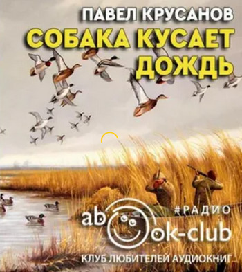 Собака кусает дождь - Павел Крусанов - Слушать Любимую Книгу + Без Рекламы 📲 Slushat-Knigi.Com