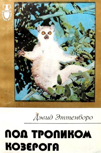Под тропиком козерога - Дэвид Эттенборо - Слушать Любимую Книгу + Без Рекламы 📲 Slushat-Knigi.Com