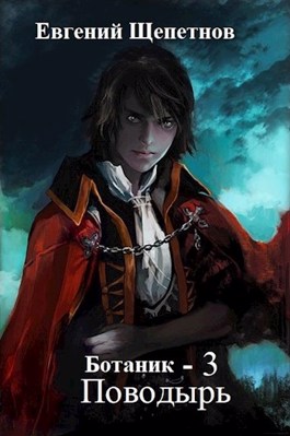 Поводырь - Евгений Щепетнов - Слушать Любимую Книгу + Без Рекламы 📲 Slushat-Knigi.Com
