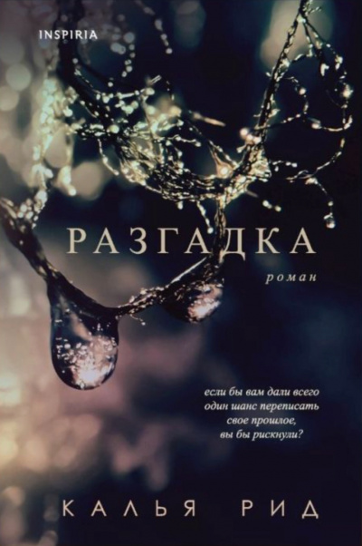 Разгадка - Рид Калья - Слушать Любимую Книгу + Без Рекламы 📲 Slushat-Knigi.Com
