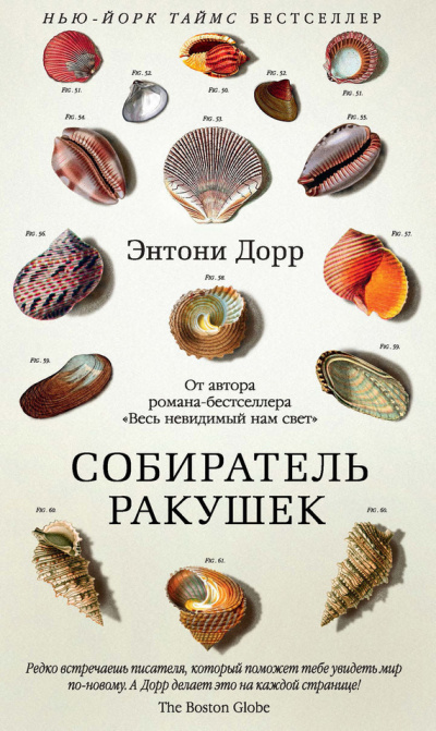 Собиратель ракушек - Энтони Дорр - Слушать Любимую Книгу + Без Рекламы 📲 Slushat-Knigi.Com