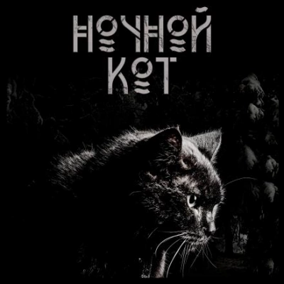 Ночной кот - Сергей Стэн - Слушать Любимую Книгу + Без Рекламы 📲 Slushat-Knigi.Com