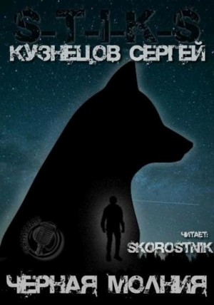 Чёрная Молния - Сергей Кузнецов - Слушать Любимую Книгу + Без Рекламы 📲 Slushat-Knigi.Com